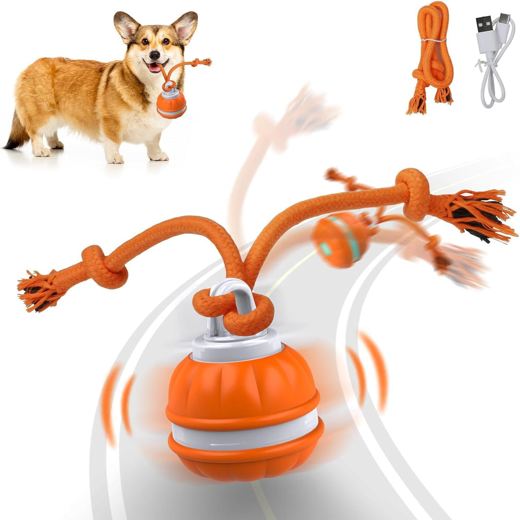 Interactive Smart Dog Ball with Swing Rope Tail