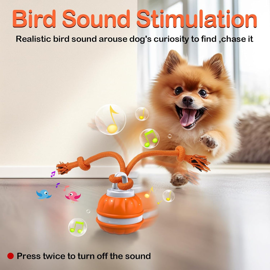 Interactive Smart Dog Ball with Swing Rope Tail