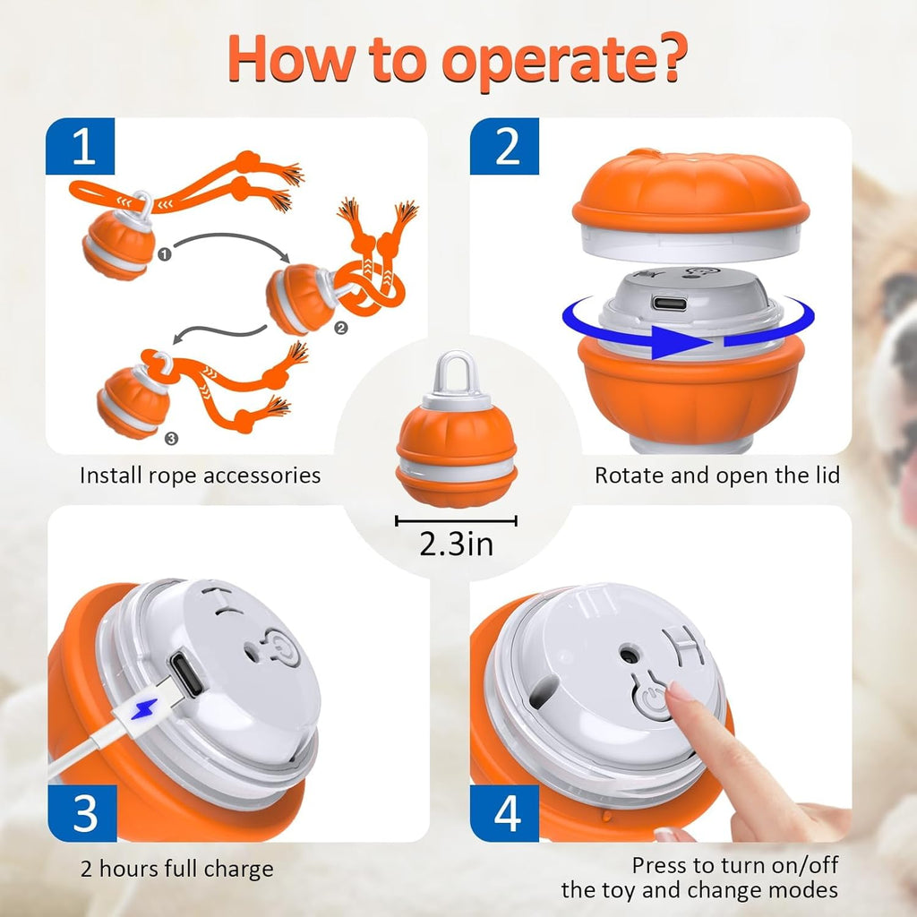 Interactive Smart Dog Ball with Swing Rope Tail