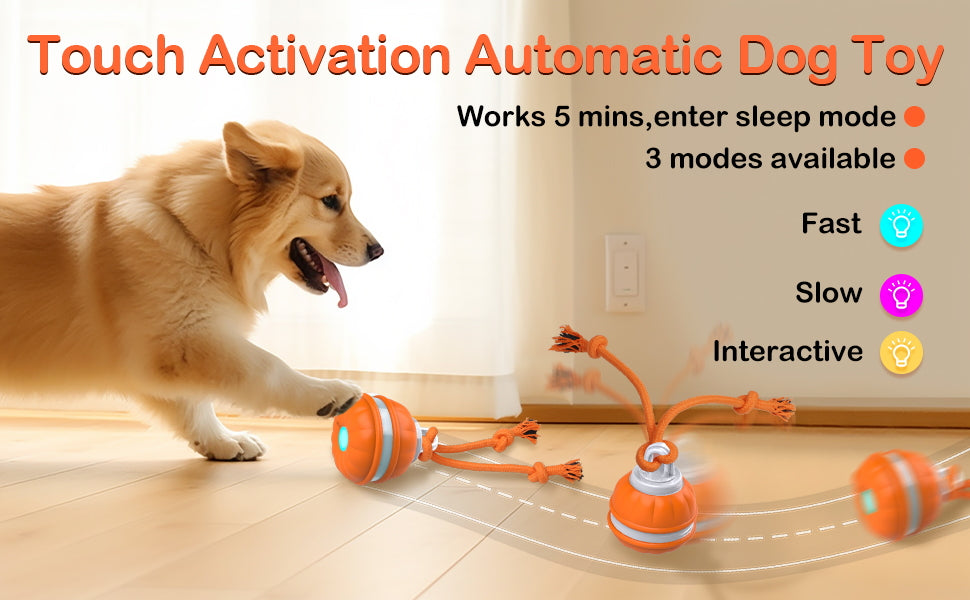 Interactive Smart Dog Ball with Swing Rope Tail